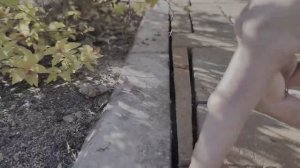 укладка клинкера цена совершенной кладки 2500 рублей за квадратный метр