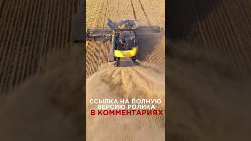 Комбайн New Holland #комбайн #сельхозтехника #агробизнес