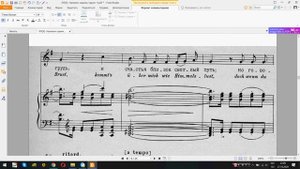 Шуман, Любовь поэта 04. Встречаю взор очей твоих