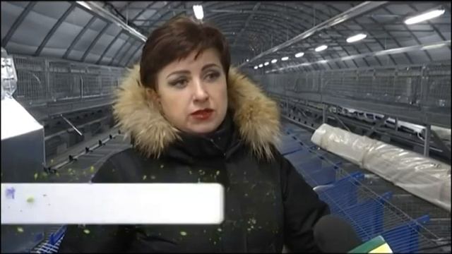 Кроликоферма Лилии Цыганок