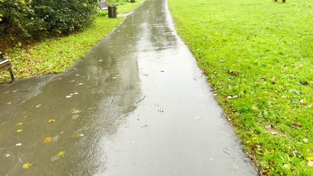 "Мама мне дом подарила. За это ты должна ей ноги мыть и воду пить." Сказал муж. Радиоспектакль. смотреть онлайн