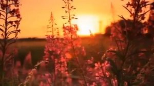 Ян Френкель, С.Есенин  Над окошком месяц романс