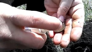 Коп в Татарстане.1.Первое Серебро! Прогулка с МД.Казань.