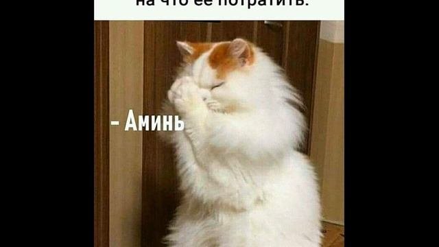 ? НЕВЕРОЯТНО СМЕШНЫЕ ШУТКИ ???? Новый выпуск #006