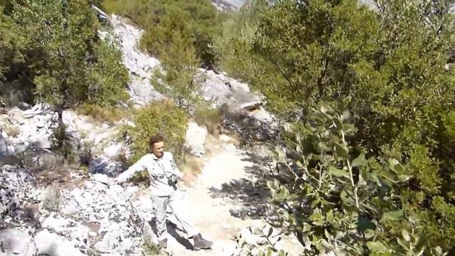 Trees on the stones. Sardinia смотреть онлайн