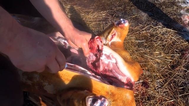 Svyatoslav Lebedev presents... COLD STEEL & TRAMONTINA (с каждым разом все хуже) смотреть онлайн