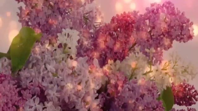 Надежда Шестак Белый парус смотреть онлайн