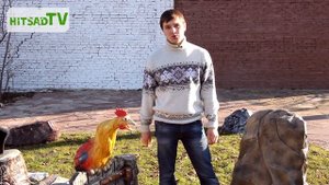Крышка люка - новое слово в садовом декоре. Топ-3 декоративных крышек.