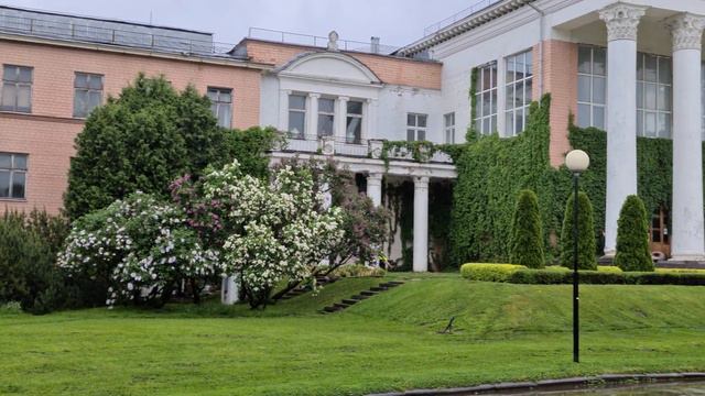 Чёрные лебеди 2 смотреть онлайн