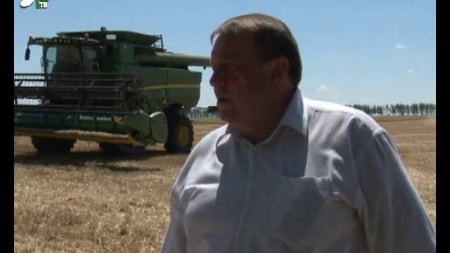 Пшеница созрела смотреть онлайн