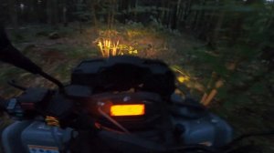 КВАДРО БЛУ ДНИ №6 | ЗАСТРЯЛ В ЛЕСУ ОДИН ! | ОСЕННИЙ ПРОХВАТ