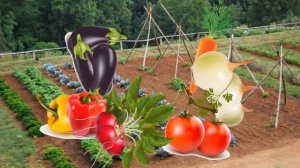 УРОЖАЙ СОБИРАЙ