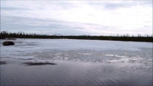 Молча, фрагменты по 2017 год.