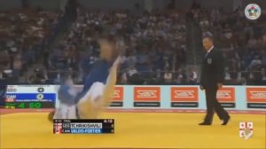 JUDO / SAMBO / 2015