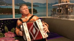 АВРОРА  КРЕЙСЕР АВРОРА - СЕДОЙ БАЯНИСТ  НА ГАРМОНИ