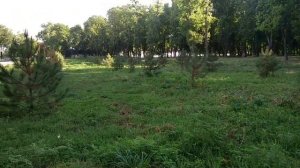 Парк Покровска Донецкая область