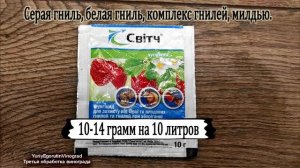 ? ЭТО нужно сделать ПОСЛЕ ЦВЕТЕНИЯ винограда! Когда проводить ТРЕТЬЮ ОБРАБОТКУ от болезней.