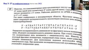 Задачи на биосинтез белка линии 27 - на информативную часть