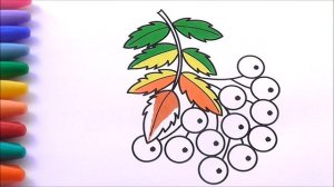 Ягода рябина  Ветка рябины раскраска  Как рисовать рябину  Рисуем Раскраски  Berry how to draw