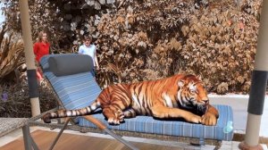 Дана и мама устроили домашний зоопарк