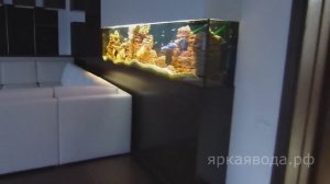 Большой трехметровый аквариум. Изготовление аквариумов в Красноярске.