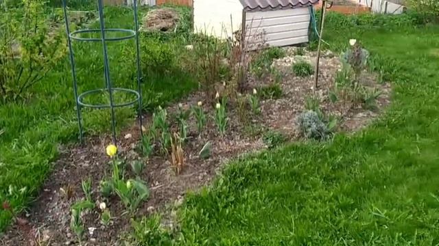 Дача 13 мая 2021 смотреть онлайн