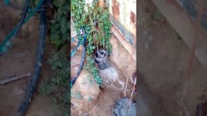 столбчатый и свайный фундамент.