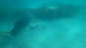 ПОДВОДНЫЙ ПОИСК в Доминикане с металлоискателем Фрогман Т90. Нашли первое ЗОЛОТО! Находки под водой