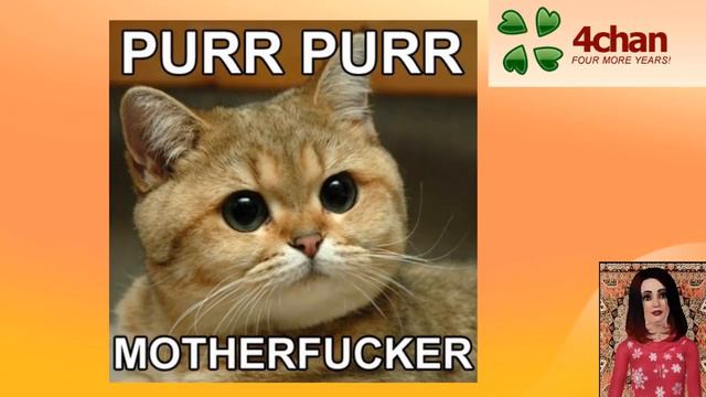 Откуда взялась котейка? смотреть онлайн