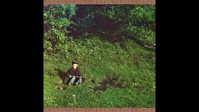 Foresteppe - No Time To Hurry (2013)