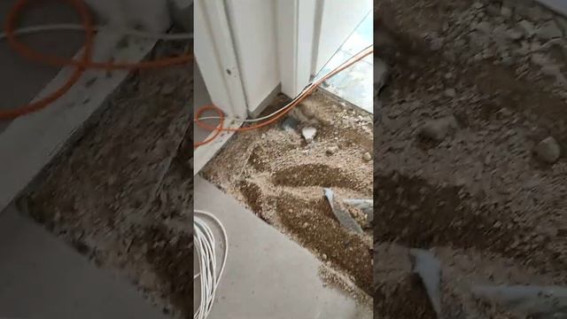 Как найти протечку воды в квартире)))