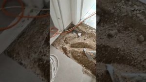 Как найти протечку воды в квартире)))
