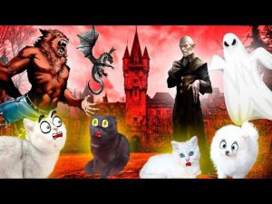 Кошек СОЖРАЛИ?! ОТЕЛЬ ТРАНСИЛЬВАНИЯ в Реальной Жизни!
