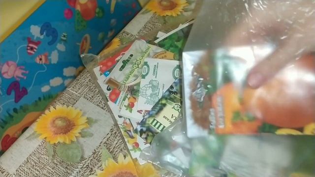 Способы поливки овощей под корень. Пришли семена часть 2 смотреть онлайн