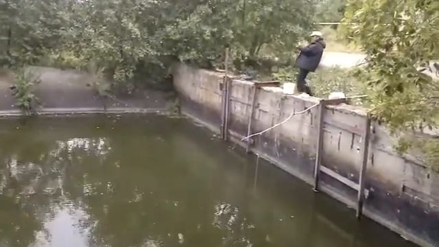 щука смотреть онлайн