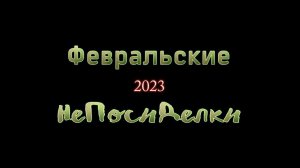 Февральские непосиделки