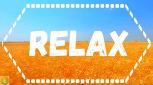 Поле - Relax. Приятная музыка | Красивые кадры природы