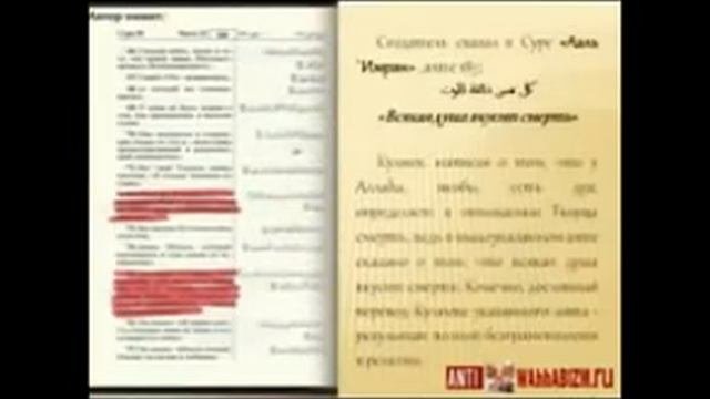 Опровержение переводов Эльмира Кулиева