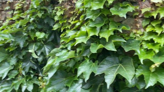 Парк Лога Ростов-на-Дону. Маша Д’Арк путешествует в Сочи смотреть онлайн