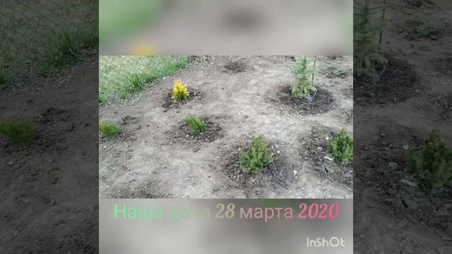 Наша дача 28 марта 2020 смотреть онлайн
