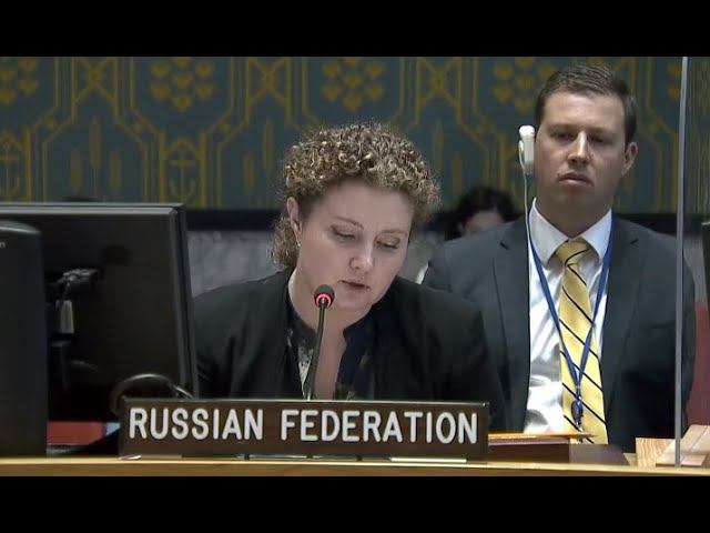 Statement by DPR Anna Evstigneeva at UNSC briefing on the activities of ...