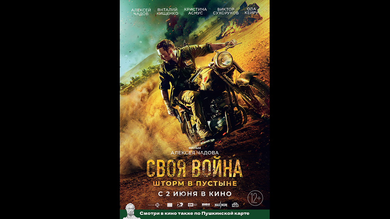 Своя война. Шторм в пустыне