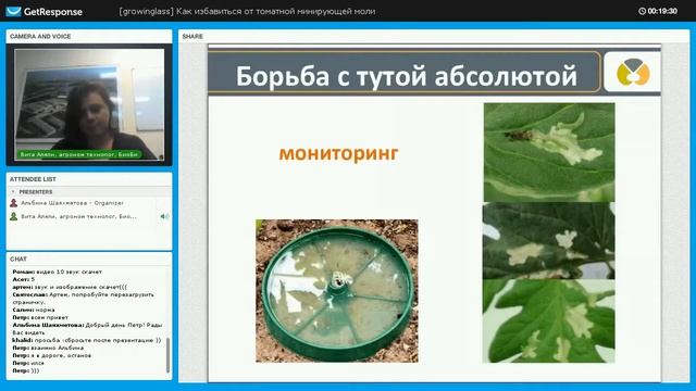 Мониторинг Туты Абсолюты. Феромонные ловушки