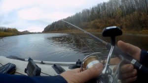 Спиннинговая рыбалка на реке сосьва 9.10.2023