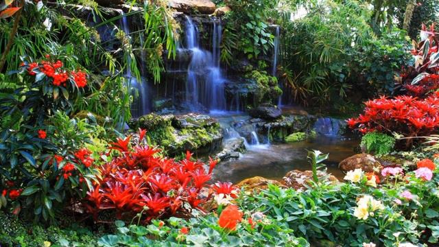 Песня ,,Весна в раю" , Автор John Hei. смотреть онлайн