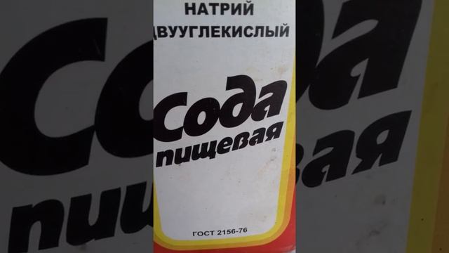 Черная плесень исчезнет навсегда смотреть онлайн