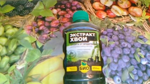 Экстракт Хвои. Биопрепарат для борьбы с вредителями.