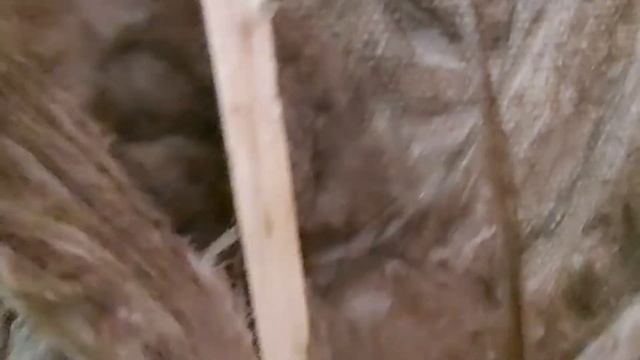 Утепление каркасной бани смотреть онлайн