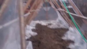 Пленка в 200 мкр на теплице после зимы ??!!