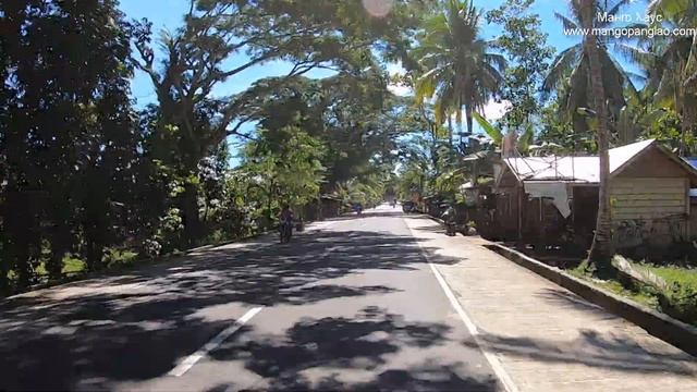 Алекс Себу - путешествие вокруг Бохола и новости от 2 июня 2020 смотреть онлайн